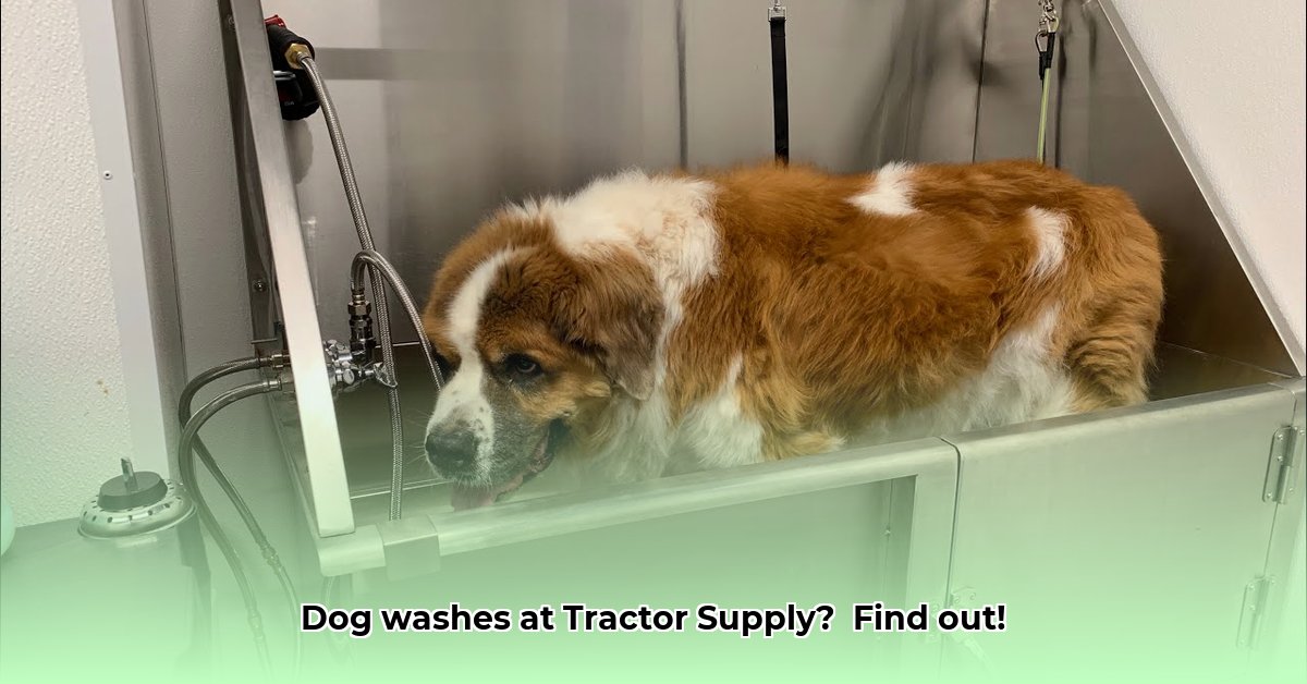 do-all-tractor-supply-have-dog-wash